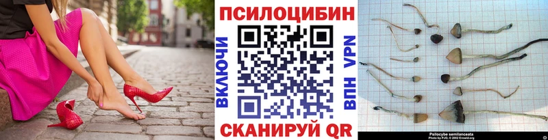 KRAKEN tor  Ува  Галлюциногенные грибы Psilocybe 
